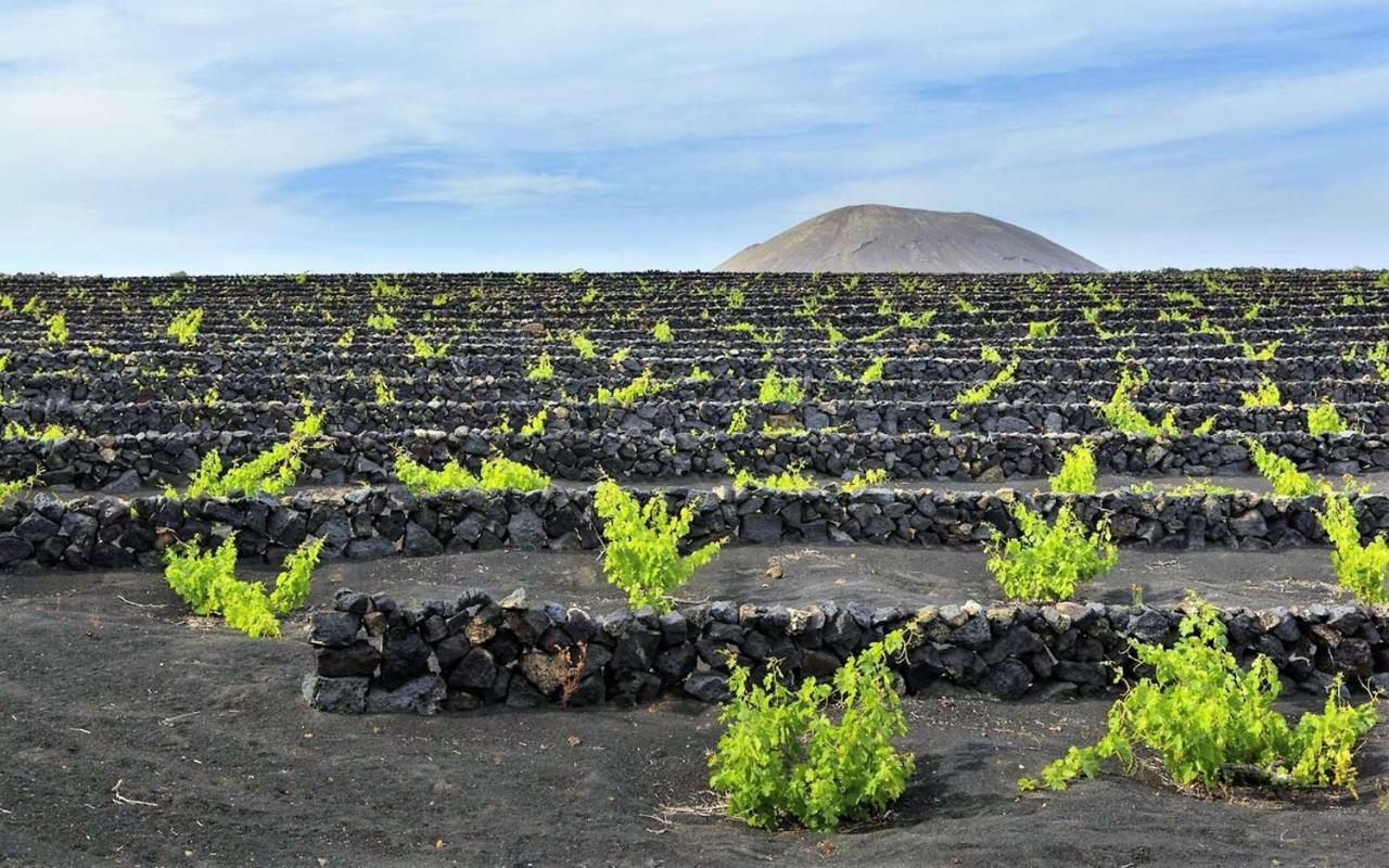 Villa Carmen Lanzarote กอสตา เตกีสเซ ภายนอก รูปภาพ